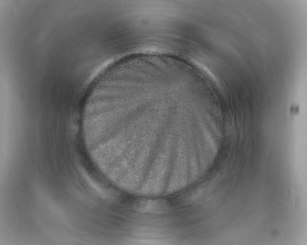 X0000089940208200707201911