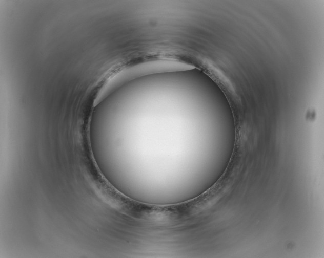X0000089940209200707201910