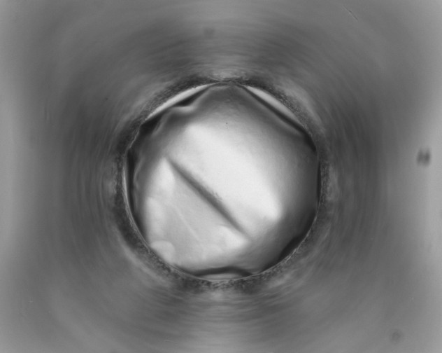 X0000089940210200707201910