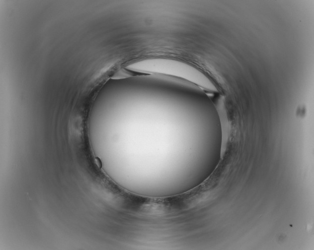 X0000089940211200707201910