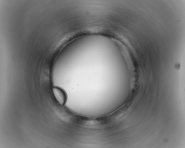 X0000089940212200707201910