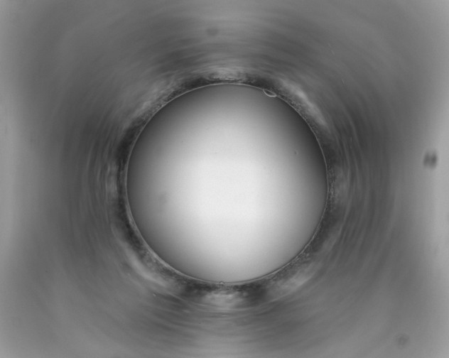 X0000089940213200707201910