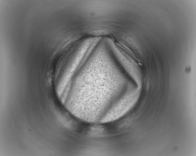 X0000089940214200707201910