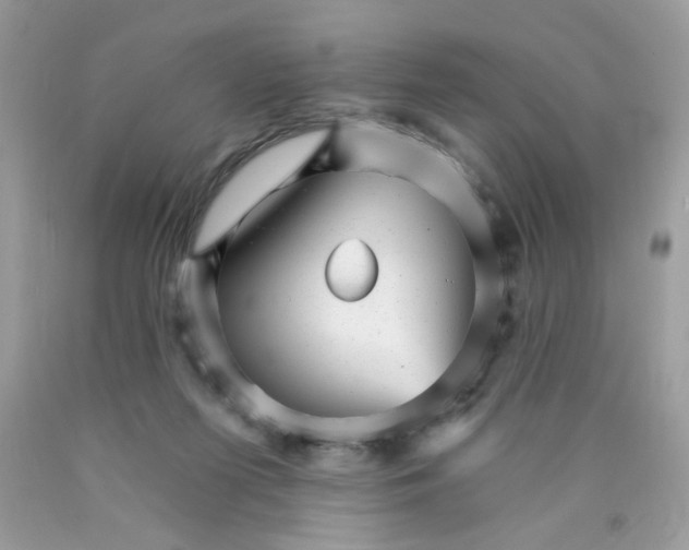 X0000089940215200707201910