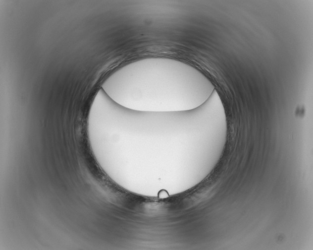 X0000089940216200707201910