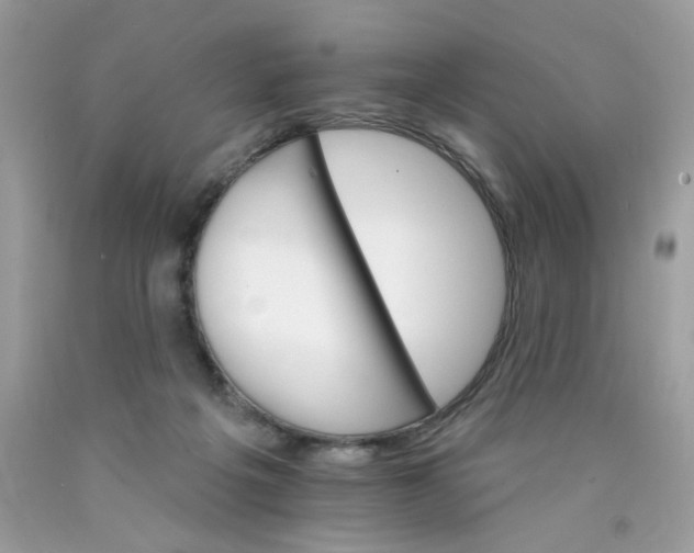 X0000089940217200707201910