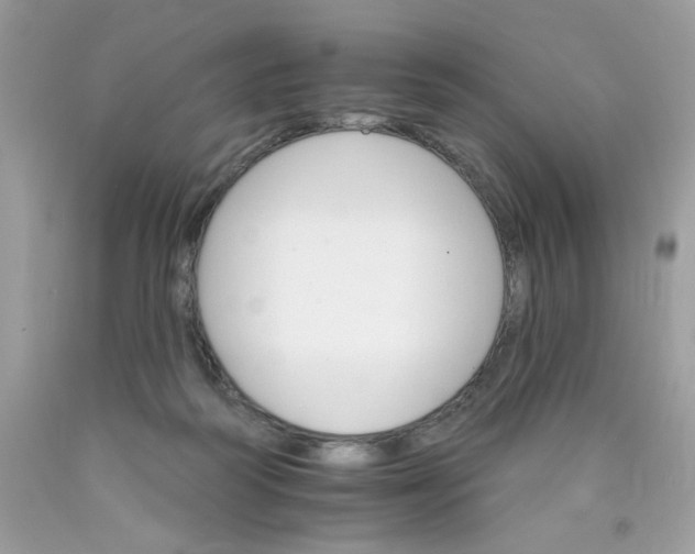 X0000089940218200707201910