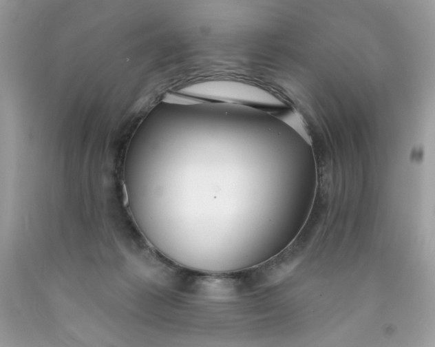 X0000089940221200707201910