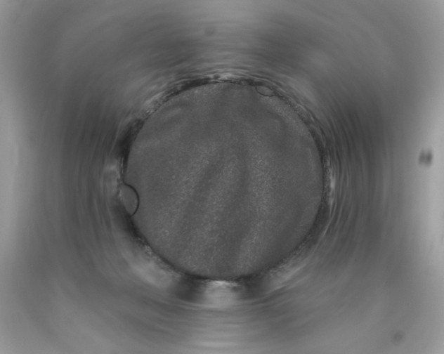 X0000089940222200707201910