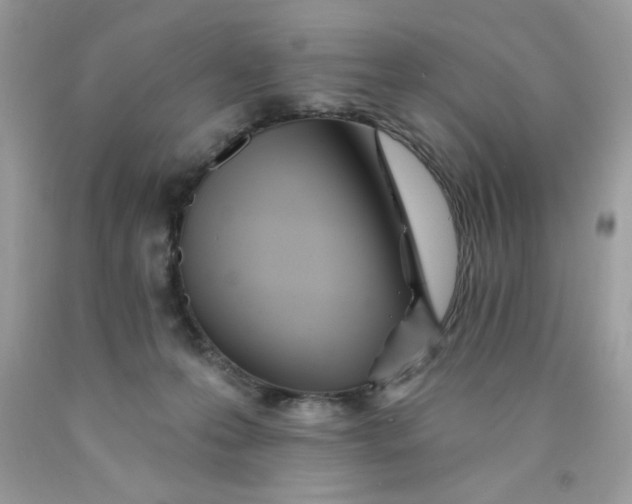 X0000089940223200707201910