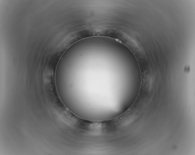 X0000089940225200707201910