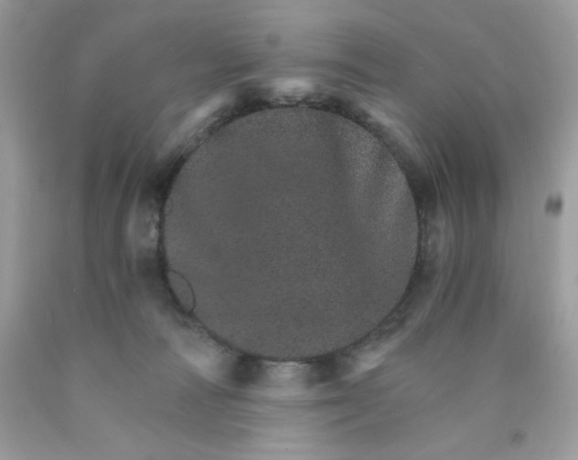 X0000089940226200707201910