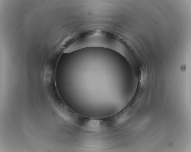 X0000089940227200707201910