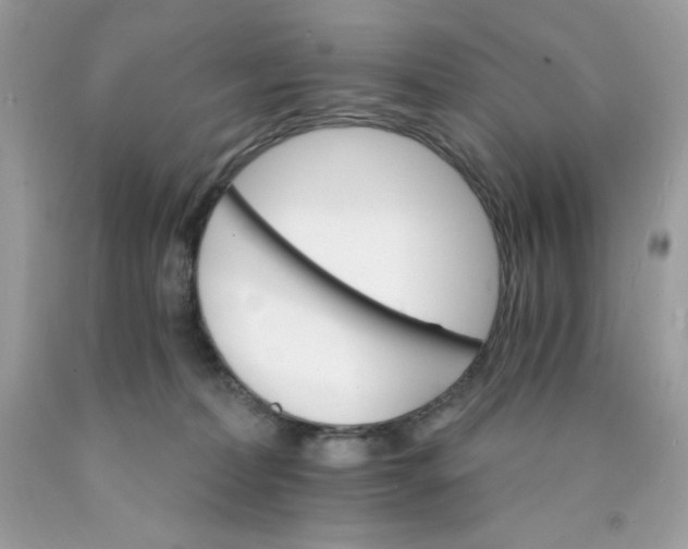 X0000089940228200707201910