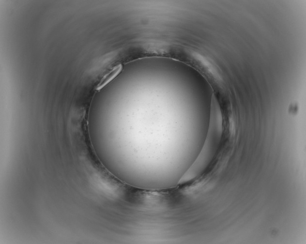 X0000089940229200707201910