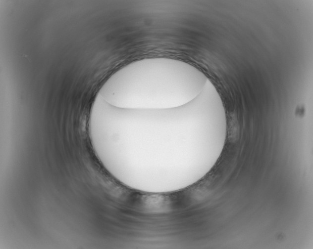 X0000089940230200707201910