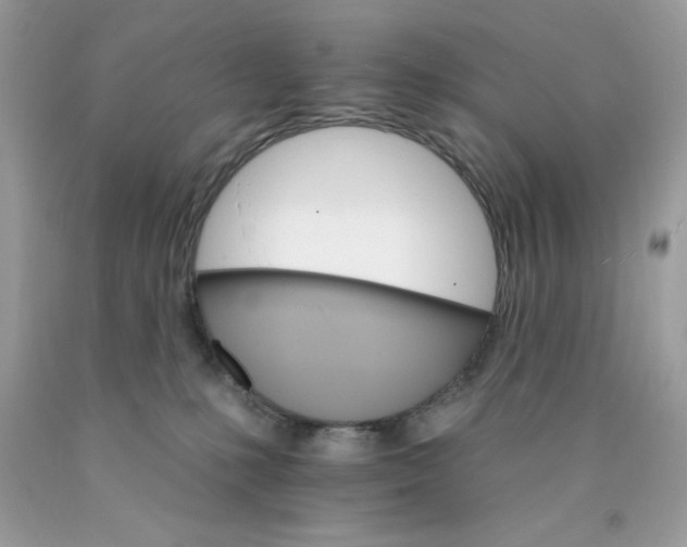 X0000089940231200707201910