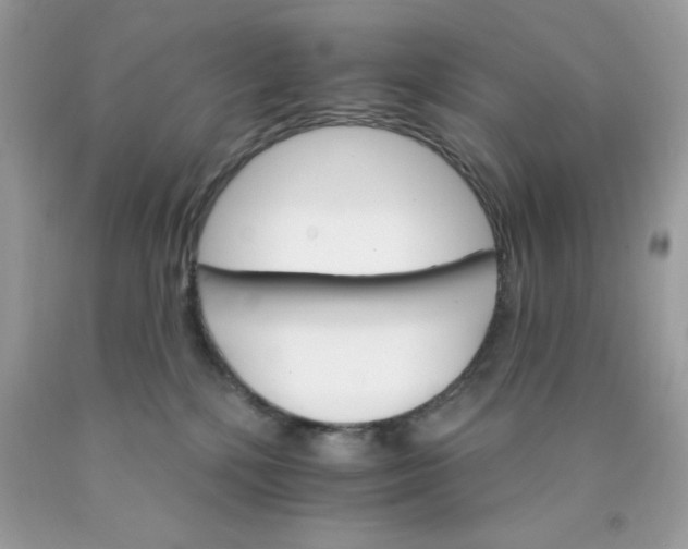 X0000089940232200707201910
