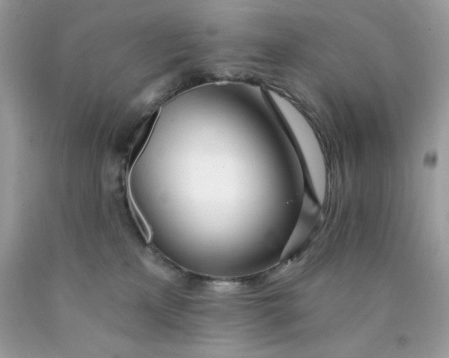 X0000089940233200707201910