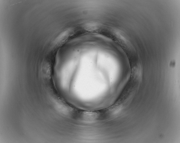 X0000089940234200707201910