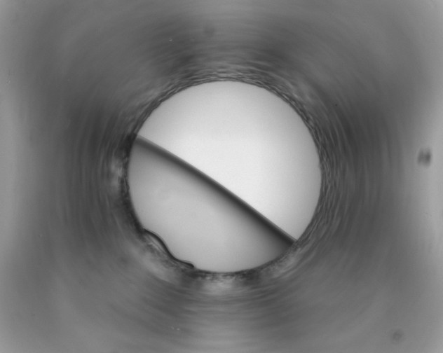 X0000089940235200707201910