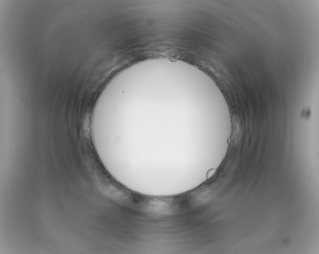 X0000089940236200707201910
