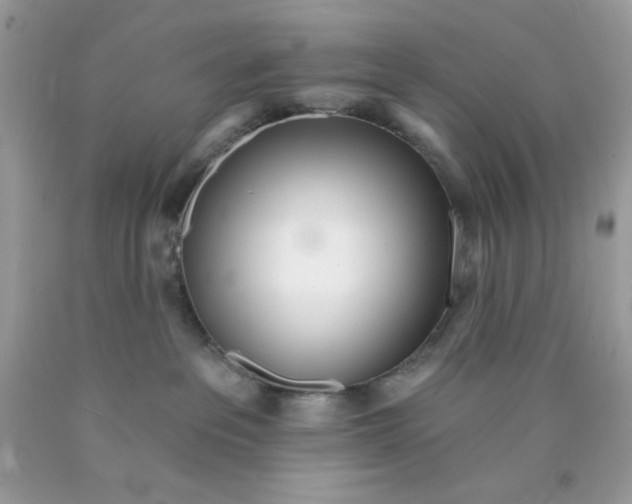 X0000089940237200707201910