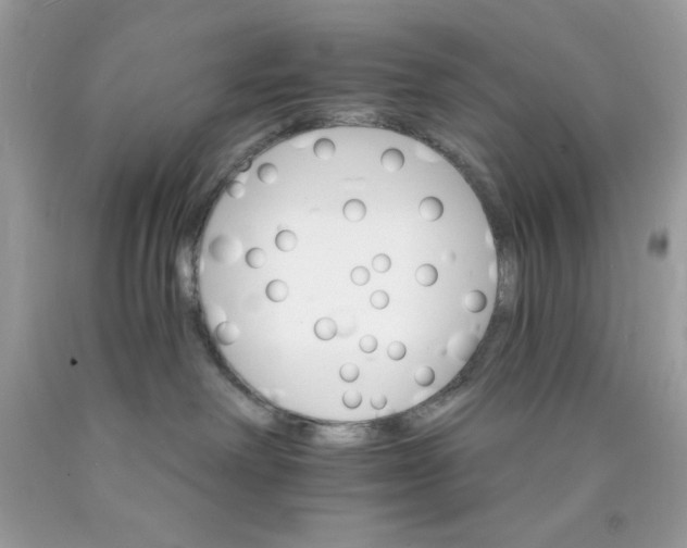 X0000089940238200707201910