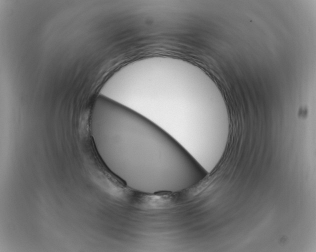 X0000089940239200707201910
