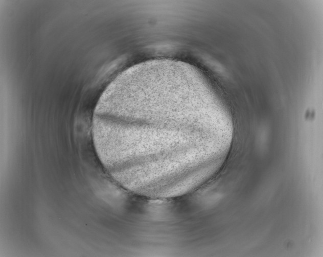 X0000089940240200707201910
