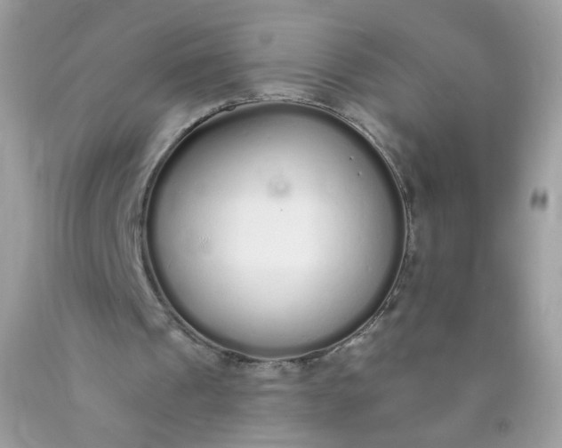 X0000089940241200707201909