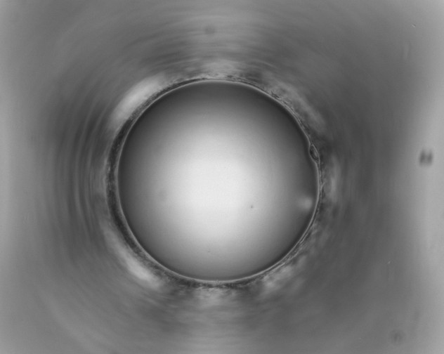 X0000089940242200707201909