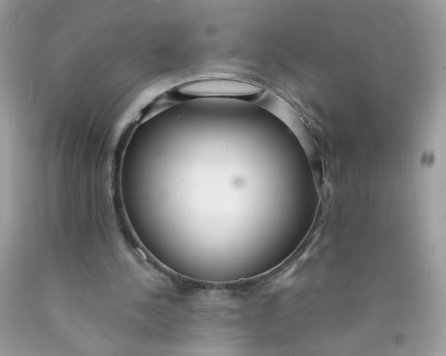 X0000089940244200707201909