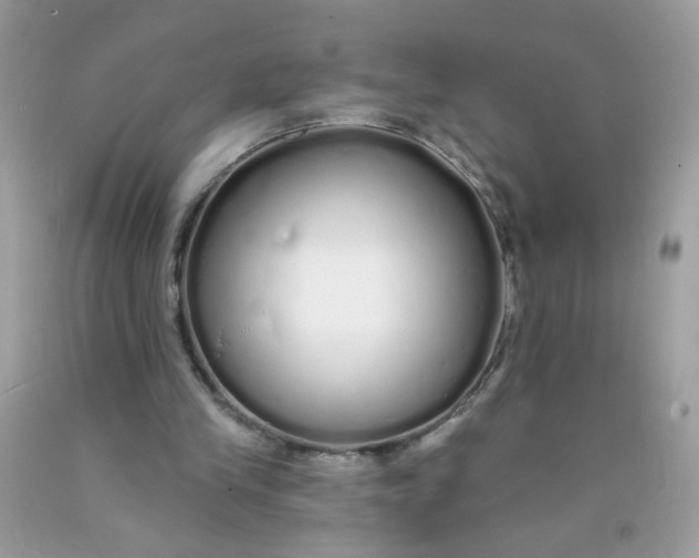 X0000089940245200707201909