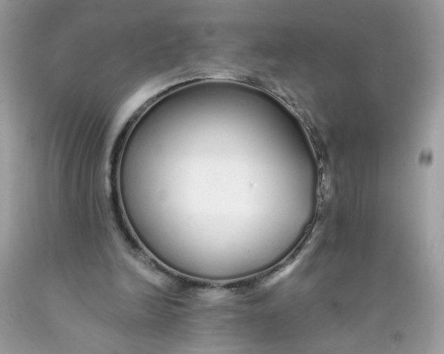 X0000089940246200707201909