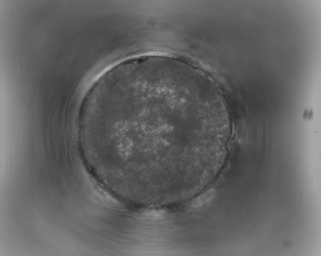 X0000089940247200707201909