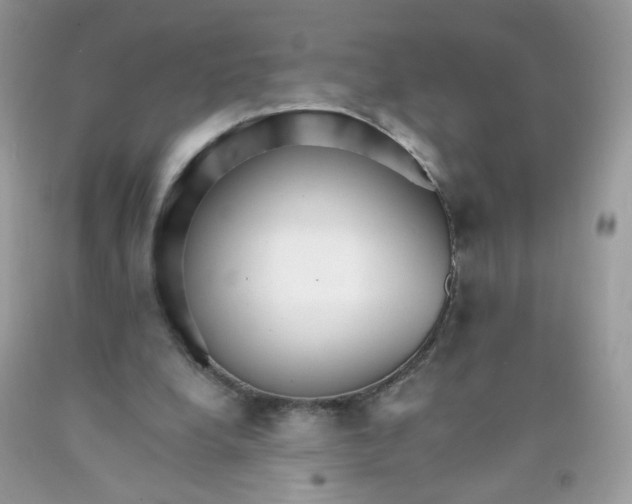 X0000089940248200707201909