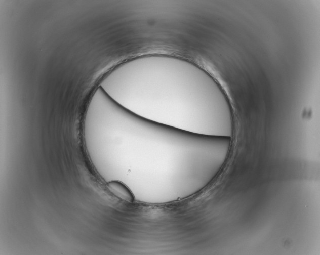 X0000089940249200707201910