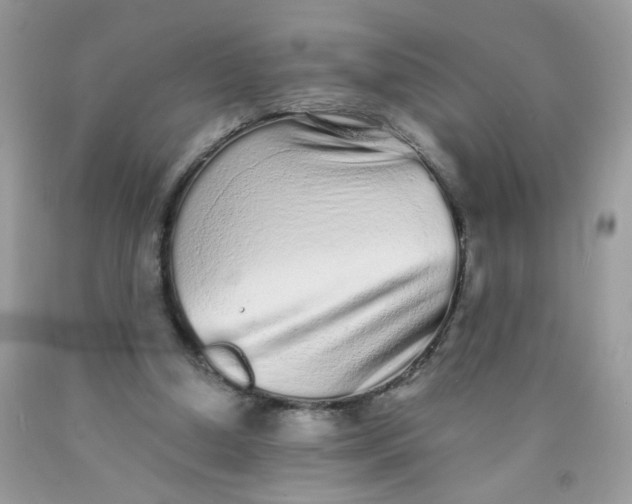 X0000089940250200707201910
