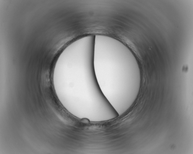 X0000089940251200707201910