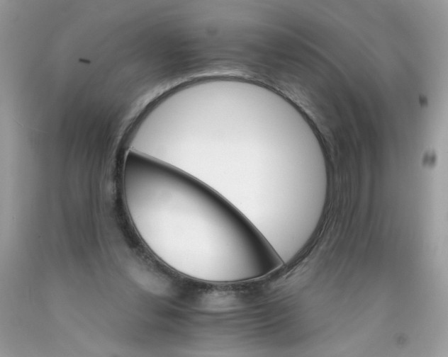 X0000089940252200707201910