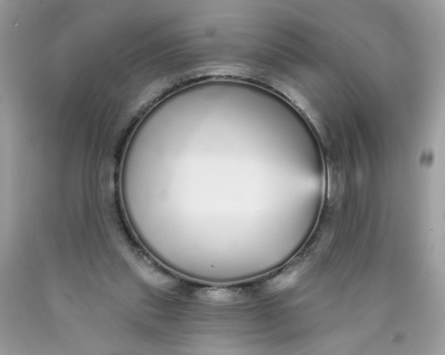 X0000089940253200707201910