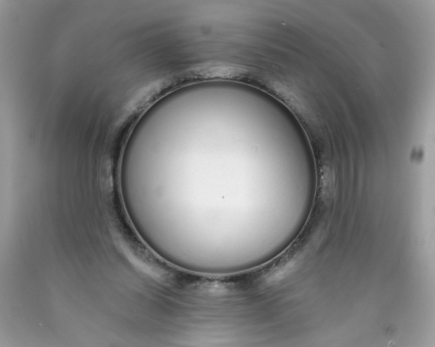 X0000089940254200707201910