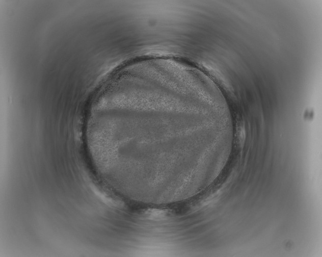 X0000089940255200707201910