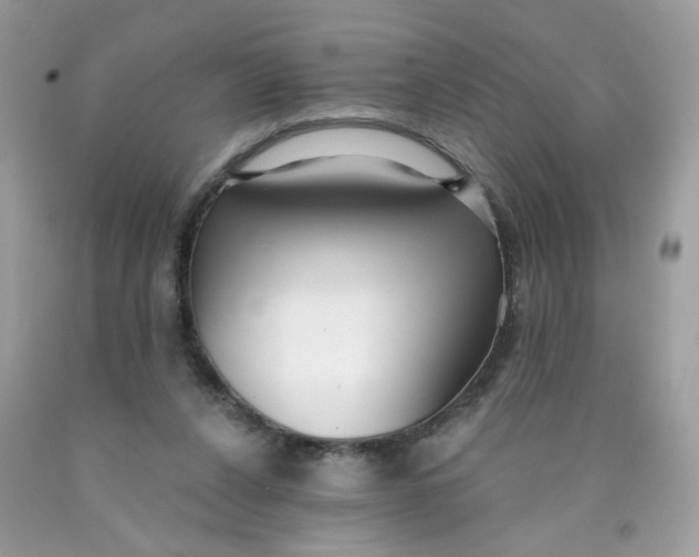 X0000089940256200707201910