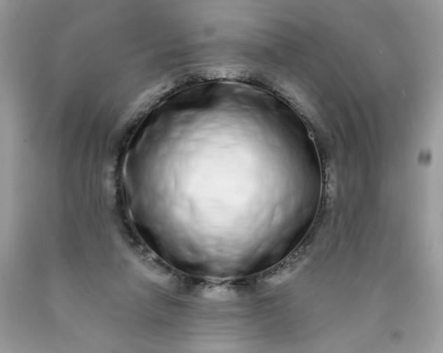 X0000089940258200707201910