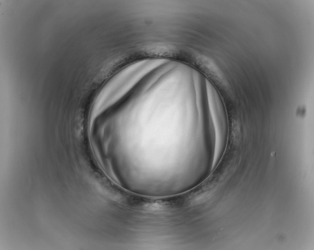 X0000089940259200707201910