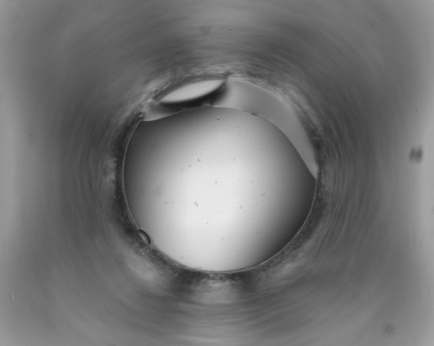 X0000089940260200707201910