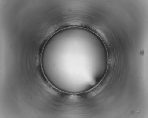 X0000089940261200707201910