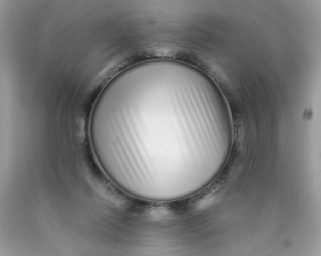 X0000089940262200707201910
